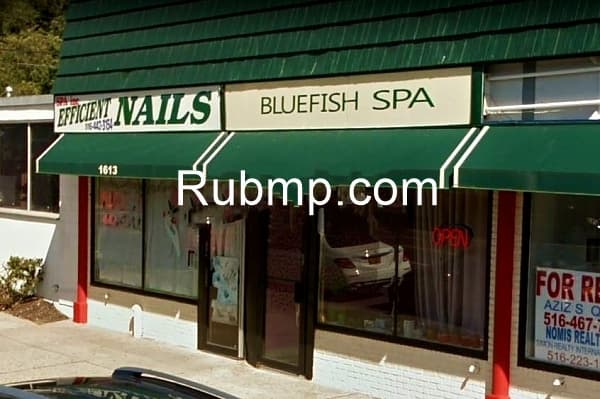 Photo of Bluefish
