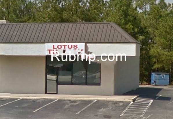 Photo of Lotus Therapy