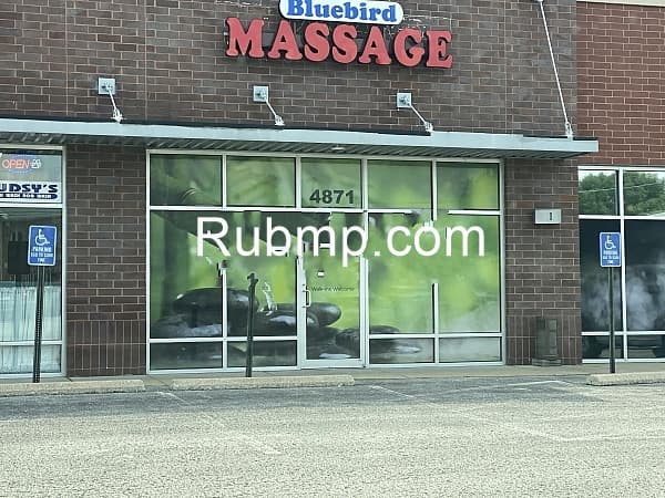 Photo of Bluebird Massage