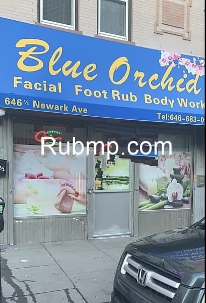 Photo of Blue Orchid