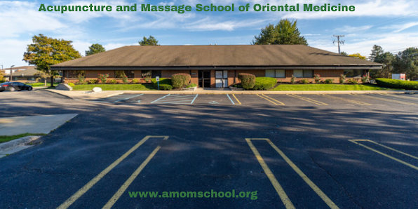 ACUPUNCTURE AND MASSAGE SCHOOL OF ORIENTAL MEDICINE