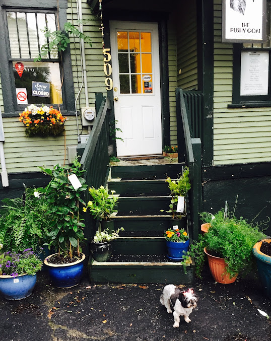 The Pushy Goat Holistic & Therapeutic Massage