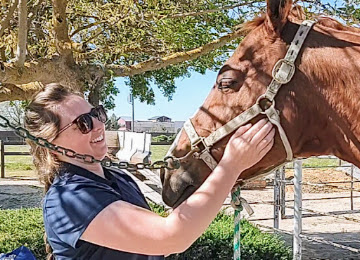 Equine Shiatsu Massage